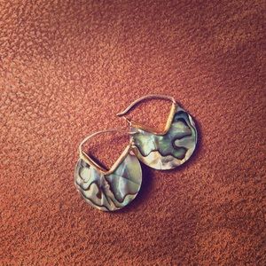 Uniquely styled abalone earrings with gold clasp.